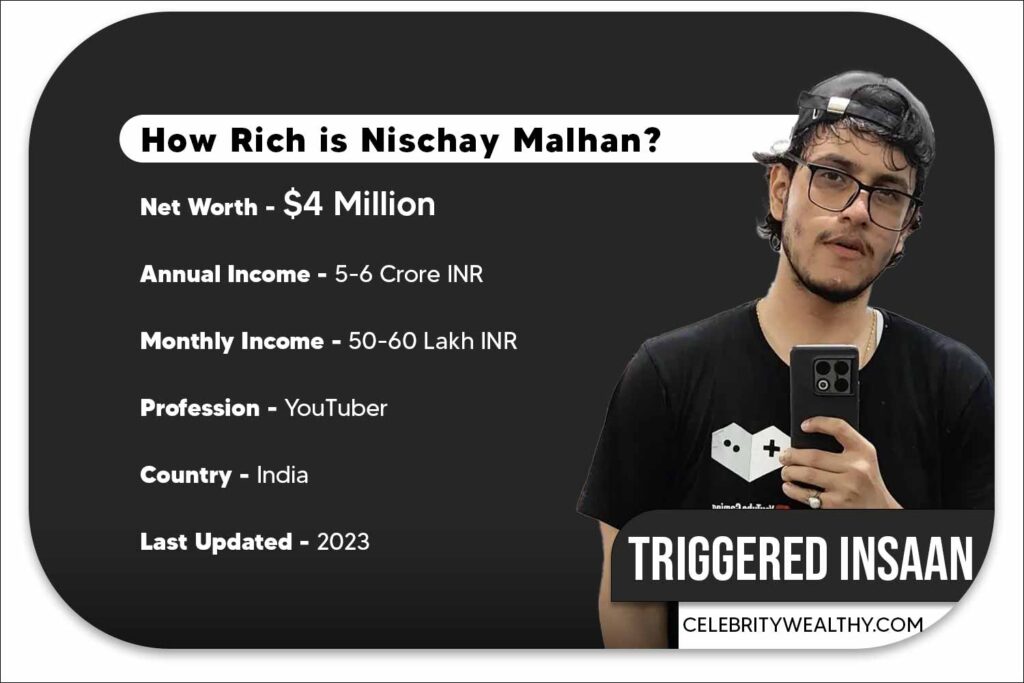 Triggered Insaan Net Worth and Income
