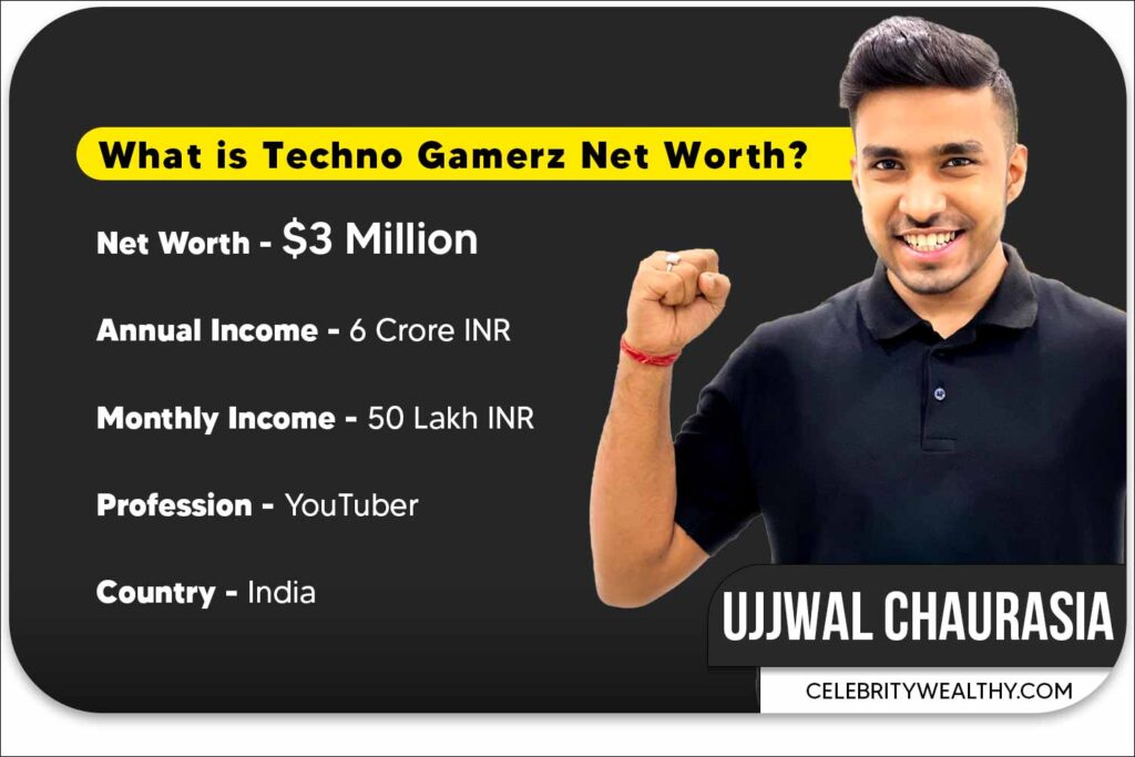 Techno Gamerz Net Worth & Income