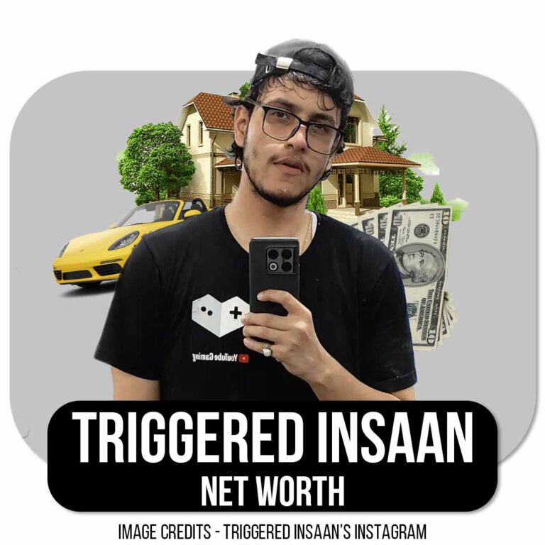Triggered Insaan Net Worth