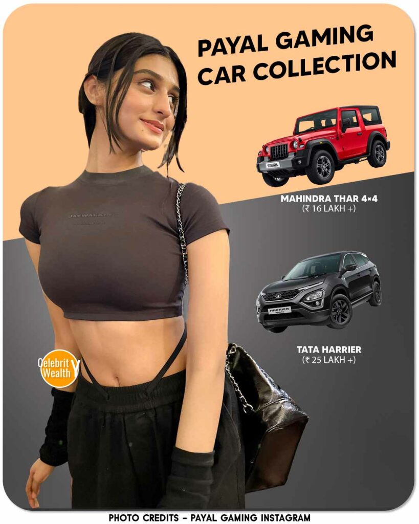 Payal Gaming Car Collection