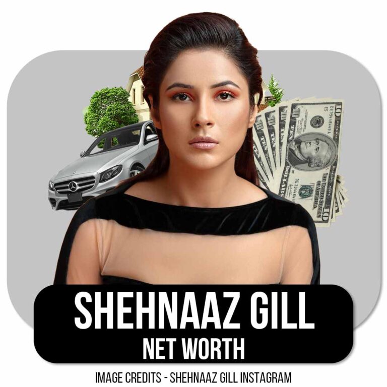 Shehnaaz Gill Net Worth