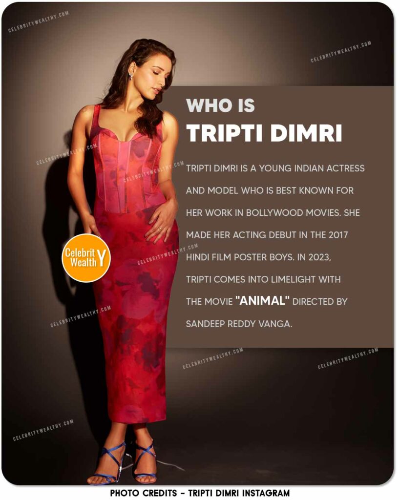 Who is Tripti Dimri in Animal Movie